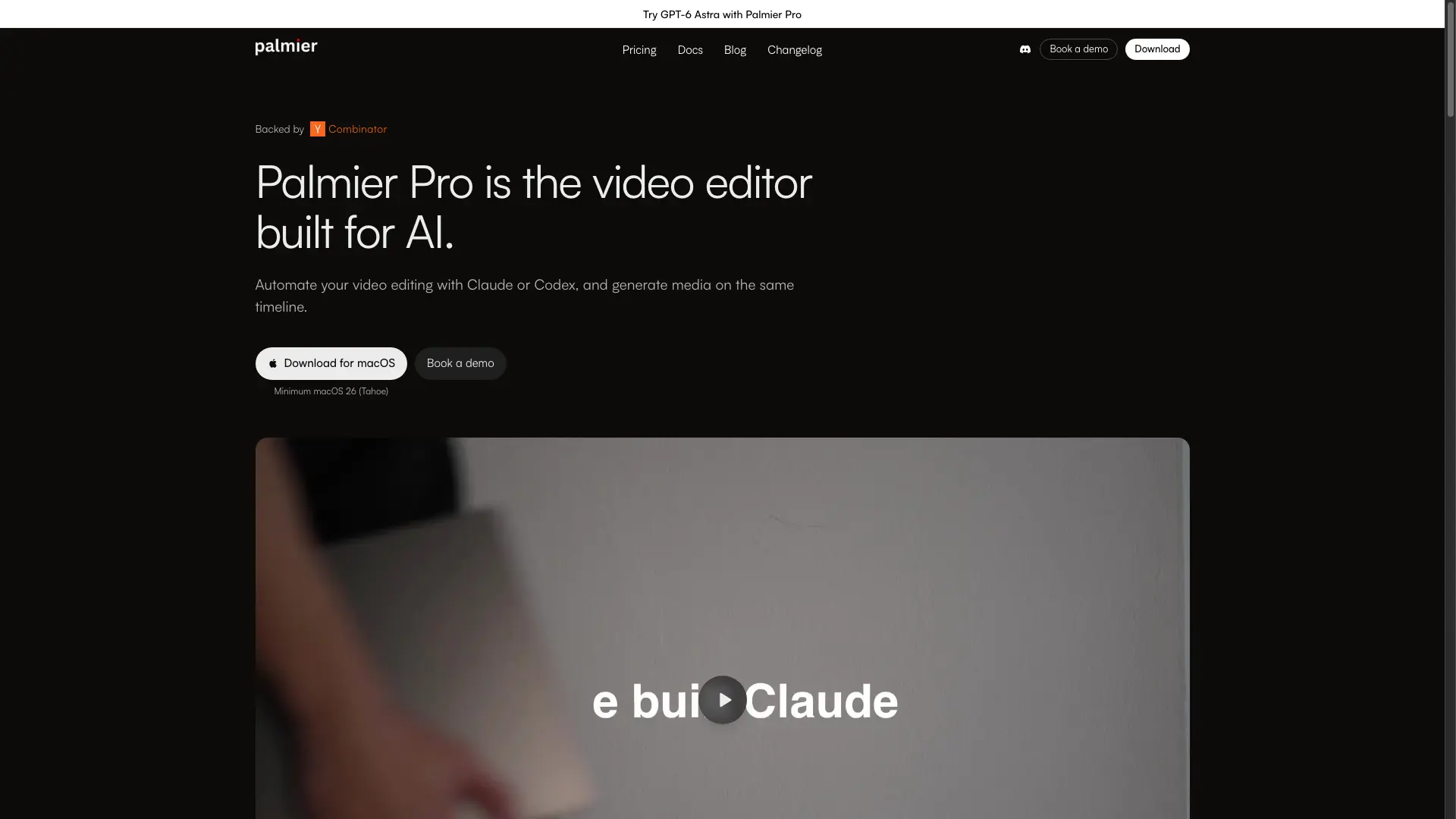 Palmier Pro